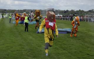 Stormy Stan leads the way in the Mascot Gold Cup