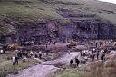 A scene of the Mossdale Caverns rescue taken by Ron Bliss of the Red Rose Cave and Pothole Club, on June 25, 1967.