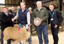 Joe Throup and his charity lamb champion, with judges John Stott and Thomas Binns and Manorlands fundraiser Adam Brunskill, right