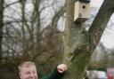 Acorn Stairlifts groundsman Andrew Stirk with one of the nesting boxes