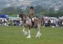 An entrant in the equestrian classes at last year's Keighley Show