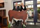 From left, Leeds City College’s business operations and sales manager Chris Stott and Timothy Taylor’s operations manager for pub estate Heike Funke with one of the plywood bulls