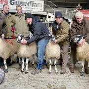 The judges and main prizewinners at the show and sale