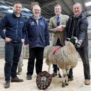 Show-winning farmer Kevin Wilson, and, from left, Manorlands’ Adam Brunskill and co-judges David Pighills and Michael Burnop