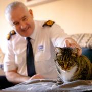 Dermot Murphy, of the RSPCA, with a rescued cat