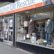 Keighley's Yorkshire Cat Rescue shop