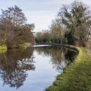 The canal at Kildwick (photo: Chris Taylor)