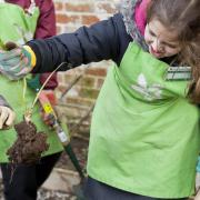 Schoolchildren working in the garden for the National Trust. Picture by National Trust / James Dobson