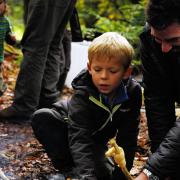 Visitors to the National Trust enjoying woodland activities at
