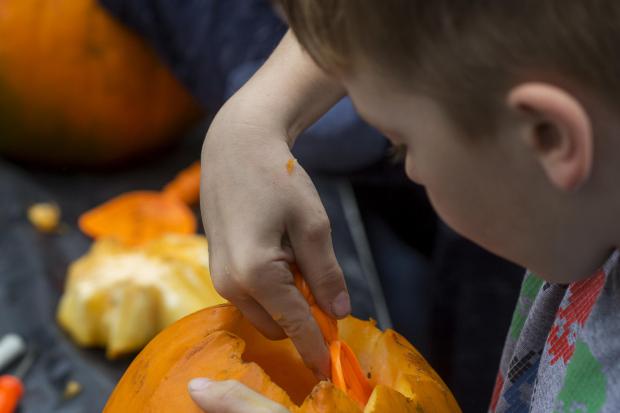 Carving Halloween pumpkins with the National Trust