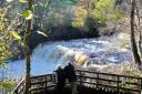 Middle Falls at Aysgarth Falls
