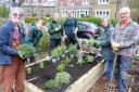 Volunteers working at the new raised bed in Oxenhope