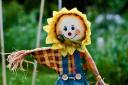 A scarecrow festival is being held