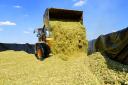 Farmers have been warned to prevent silage leaks into local watercourses.