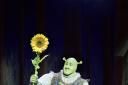 Shrek the Musical is in Leeds. Picture by Helen Maybanks