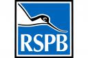 RSPB meeting