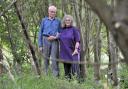Martin Harwood and Mary Elliott in the woodland