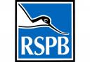 The RSPB group is staging its latest meeting