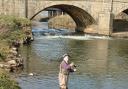Keighley angler Simon Wilkinson fly fishing near Kildwick Bridge.