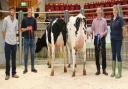 Chris Bell, second from left, at the Craven Dairy Auction, with judge Kev Midgley, reserve champion Mark Smith and Helen Whittaker of main sponsor National Milk Records