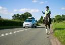Motorists are advised to drive slowly past horse riders and allow a wide gap