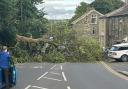 The tree blocks Chapel Lane in Oakworth
