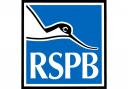 RSPB group announces details for first meeting of 2024