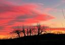 A sunset photographed from East Morton, by Alison Bacon
