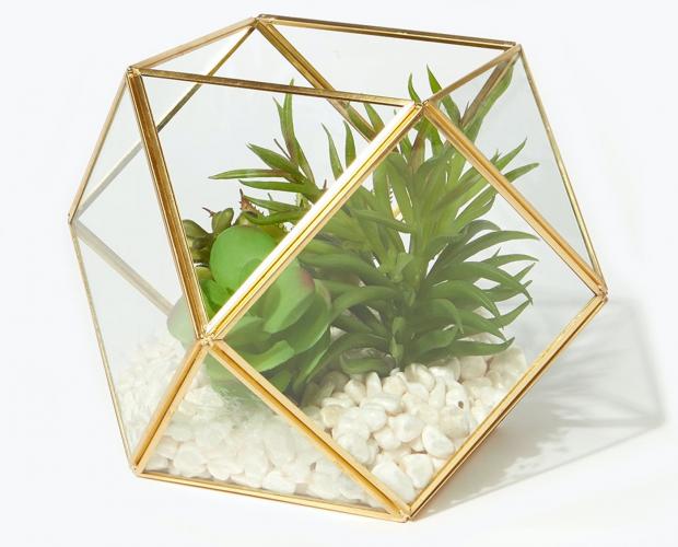 Keighley News: Succulents in Hexagonal Planter is available via Matalan. Picture: Matalan