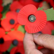 Plea for help with Poppy Appeal