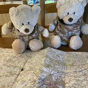 The teddies planning their journey