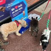 A dog watering point has been introduced at Keighley railway station