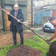 Cllr Zafar Ali helps with the tree planting