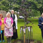 Pictured at the tree unveiling in Silsden Park are, from left, Joyce Grant, Cllr Rebecca Whitaker, Pam Rycroft, Cllr Mags Croft, the Rev David Griffiths, Margaret Simpson and Roger Smith