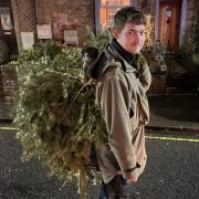 Volunteer Joe Holmes collects a tree