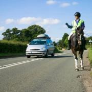 Motorists are advised to drive slowly past horse riders and allow a wide gap