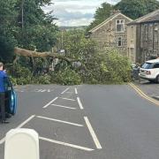 The tree blocks Chapel Lane in Oakworth