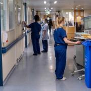 Figures show a rise in nurse numbers