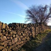 Annmarie Bulcock took this image whilst on a walk at Steeton