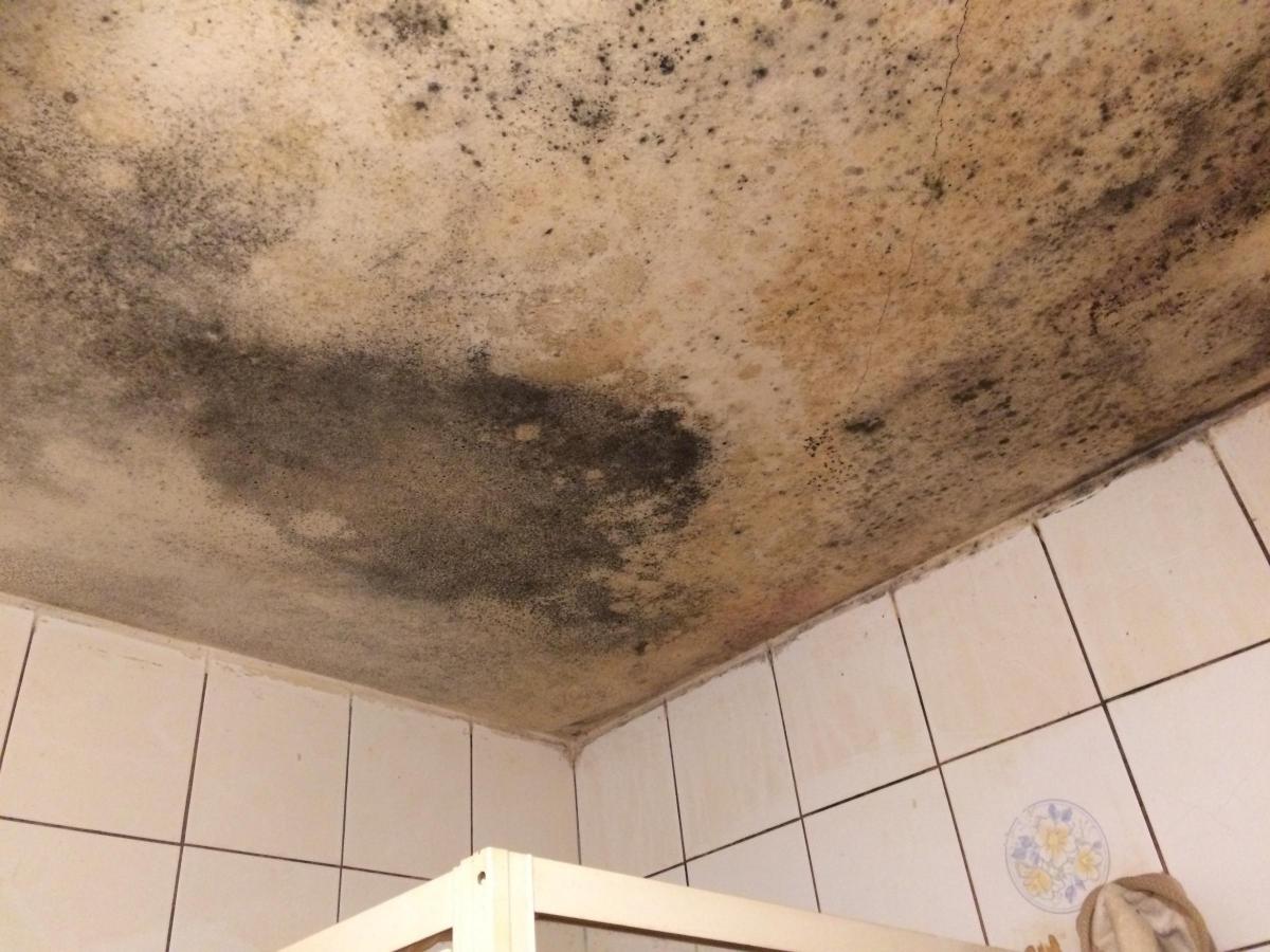 Tenant Condemns Delays In Resolving Severe Mould And Damp Problems